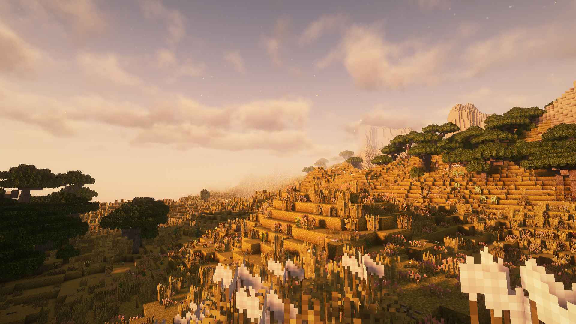 credit-discord-doctor-rge